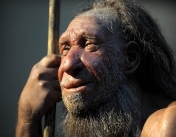 neanderthals.jpg